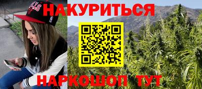 прущие грибы Ирбит