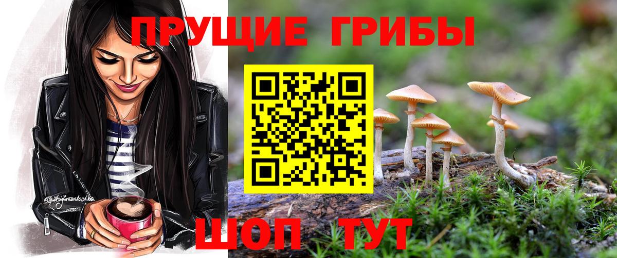 Коркино  Галлюциногенные грибы Magic Shrooms  Вход с VPN  Галлюциногенные грибы Psilocybe 